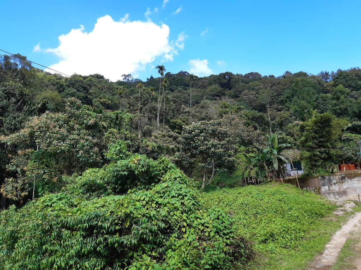 Mountain View Holiday Home Kalpatta Exterior foto